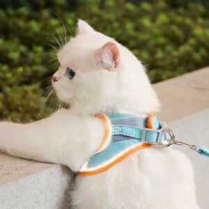 Secure Cat Walking Set