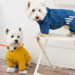 B07_80de0aa9-2457-4b2d-a663-e536ddccc299