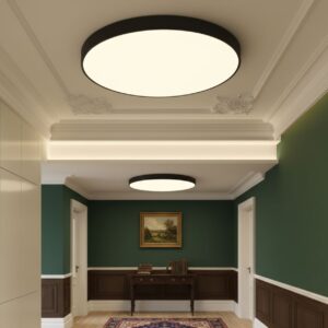 Smart Ceiling Light