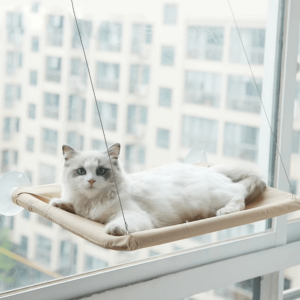 Pet Cat Hammock Window