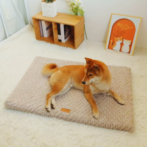 Orthopedic Pet Bed