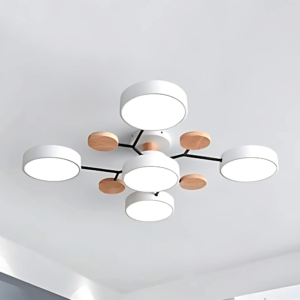 Modern Ceiling Chandelier