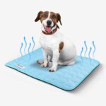 Design sans titre (27)