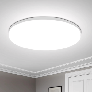 LED Ceiling Light