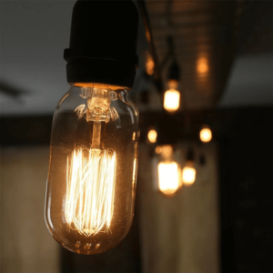 Vintage Edison Light Bulbs