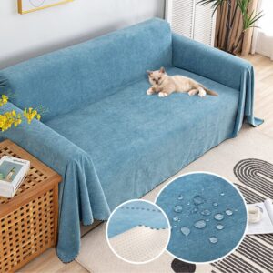 Ultimate Sofa Protection