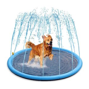 Giant Splash Pad for Dogs