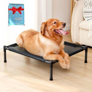 Raised Dog Bed