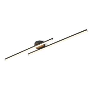 Sleek Modern Ceiling Light