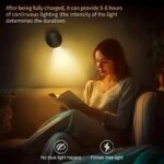 imgi_17_771a3512-9178-4b50-918d-e8fa755d2ed8