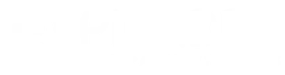 Picadex Logo