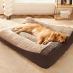imageye___-_imgi_111_Luxury_Thick_Dog_Bed_for_Large_Breeds_Spine-Safe_Design-15