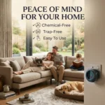 Family_relaxing_in_home_202606090150