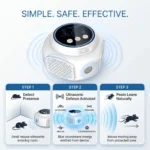 Infographic_for_Picadex_product_202606090222