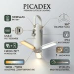 Laviski_to_Picadex_2K_202606051756