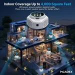 Translate_to_English_picadex_202606090228