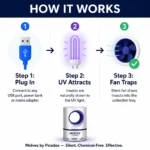 magnific_create-a-clean-profession_UybtHflwny
